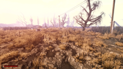 Anomaly-1-5-1-Screenshot-2025-07-18-15-06-46-93