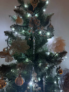 photo 2025 12 29 23 43 31