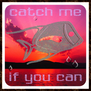 Flying-Fish.png