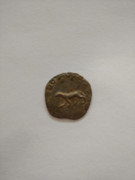 WhatsApp Image 2020-08-10 at 19.24.28