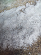 IMG_20201114_092545265