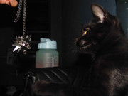 43.15.terror groupie's kids XV