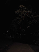 52.2.path to nowhere II