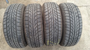 PXL-20250312-165807876-MV.jpg