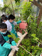 photo-20211123-iherbalgarden-002