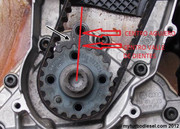 t10050