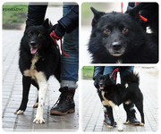 Be-Funky-collage-25.jpg&key=7ea239ec5718