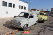 IMG-3880