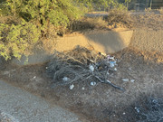 IMG-7581