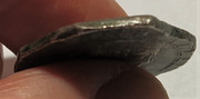 4 Tari de Felipe IV - Sicilia, 1648. Dedicada a dasyatis. IMG-20210205-184140