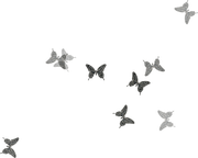 0_17d489_6def2db1_X5L