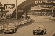  1960 International Championship for Makes - Page 3 60lm23-Austin-Healey3000-J-Sears-P-Riley-1