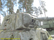 IMG-6379