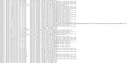 debug-3