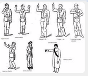 Screenshot 2020-02-17 at 02.28.27