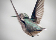 68fe51c1c7b00942f89a98e066f97245