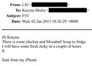 jerky 046 EFTA00529502