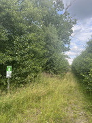 altes verschlossenes Tor