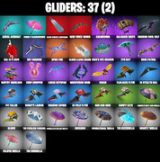 gliders-comp