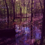 302bxjiJzemWtPW4si1pBwofnCw4f1nz6WH46aeAJbZzvDzMlbJhM2UddFtPbJJL9JZG74gZ