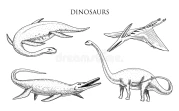 https://i.postimg.cc/ZWym0sqT/dinosaurs-elasmosaurus-mosasaurus-barosaurus-diplodocus-apatosaurus-pterosaur-skeletons-fossils-wing.webp