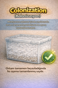 10colonize