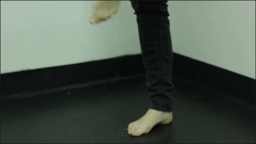 [Image: Voyeur55675100503.jpg]
