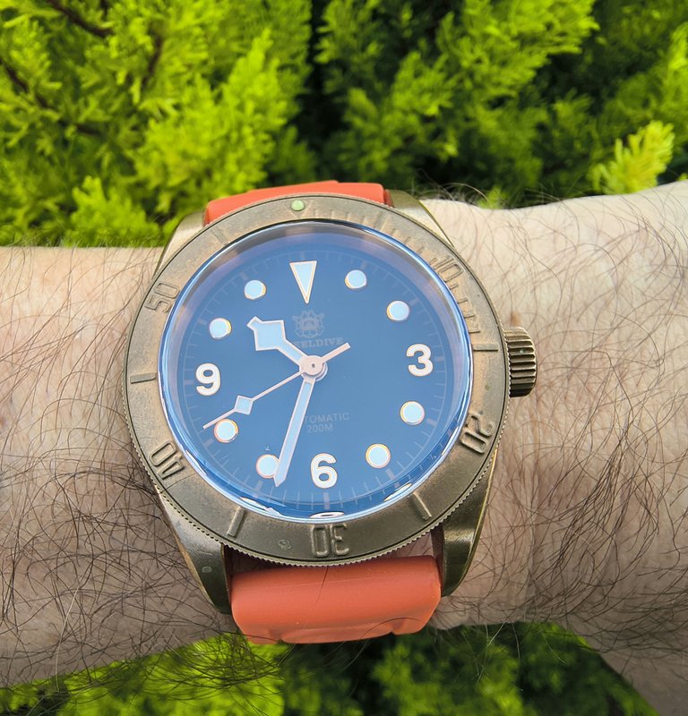 Feu de vos montres en bronze ! IMG-20250801-103340907-HDR-1