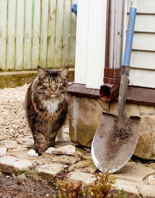 фотография (31)