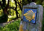 CAMINO DE SANTIAGO - Diarios, Noticias y Tips