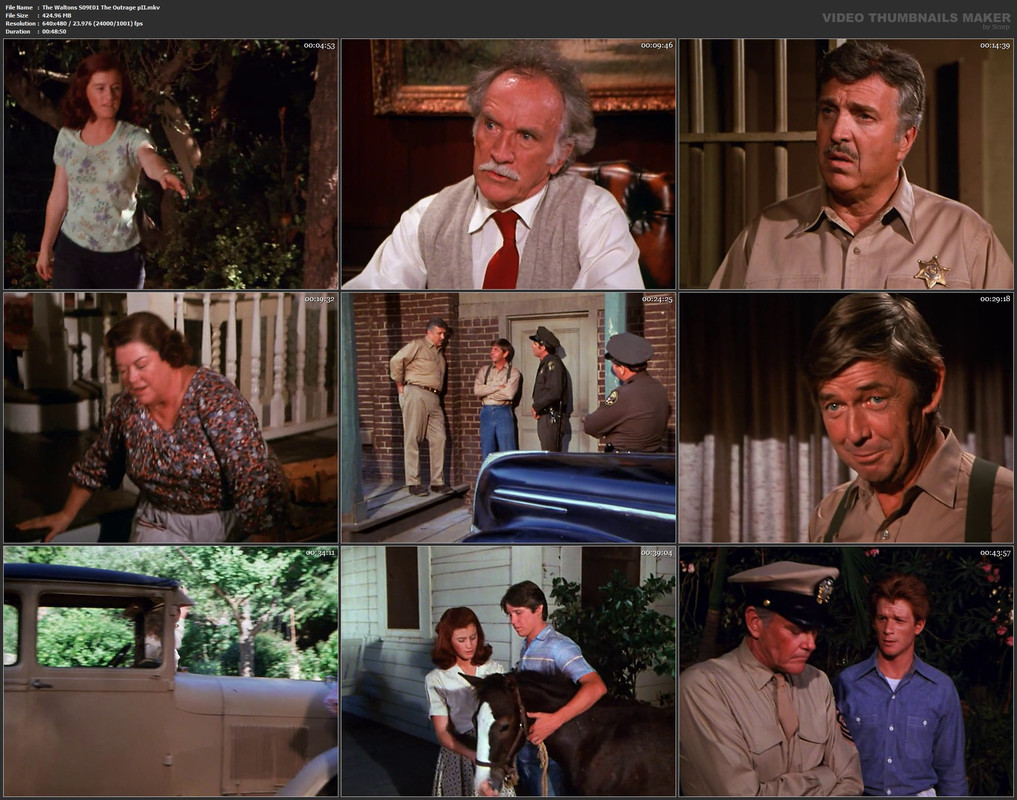 The Waltons S09E01 The Outrage pII.mkv