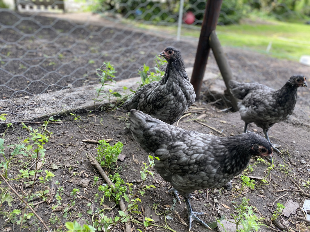 0E5720A0-5628-42AE-B34B-183EC18D12F2