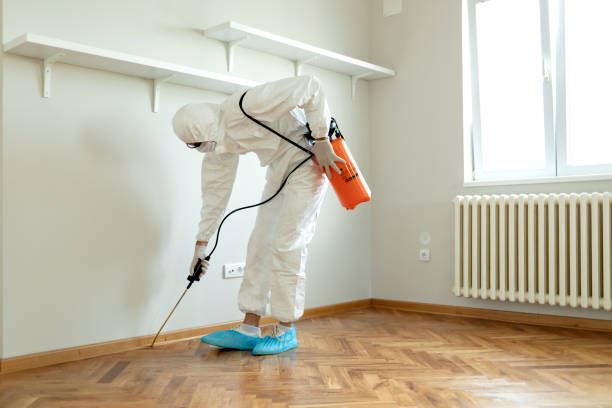 Orlando Termite Treatment