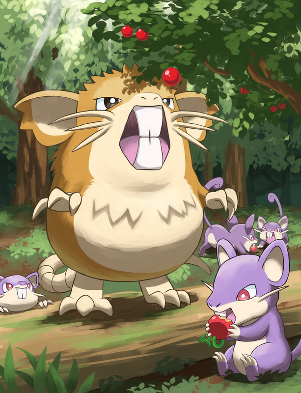 rattata-and-raticate-pokemon-drawn-by-ji