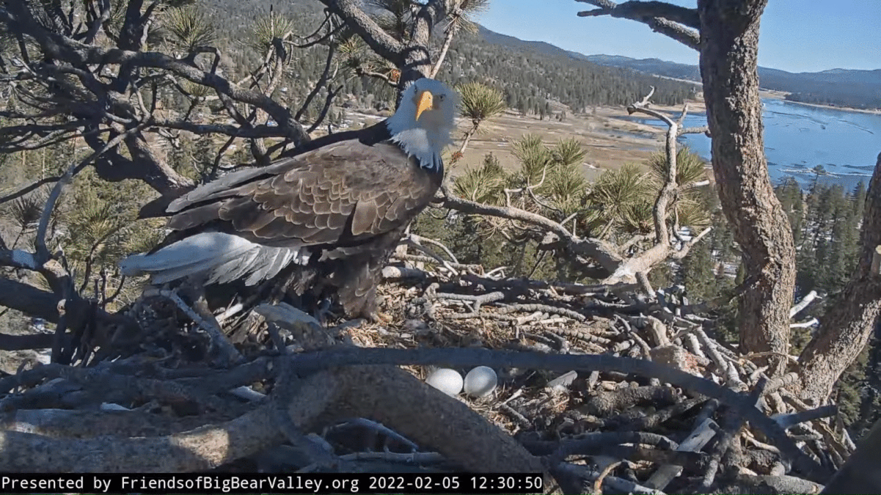 Webp.net-gifmaker (6)