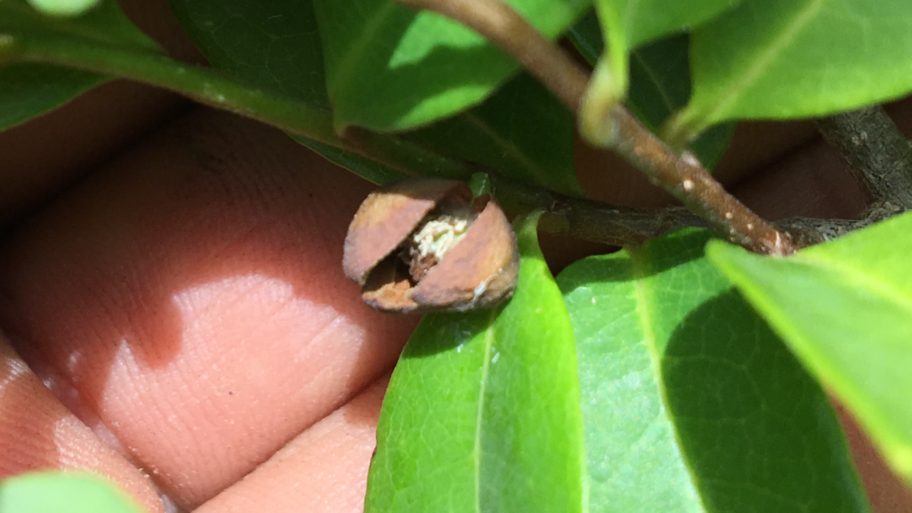 F6B50BE8-5A7B-4982-BA86-84F22A3C6723