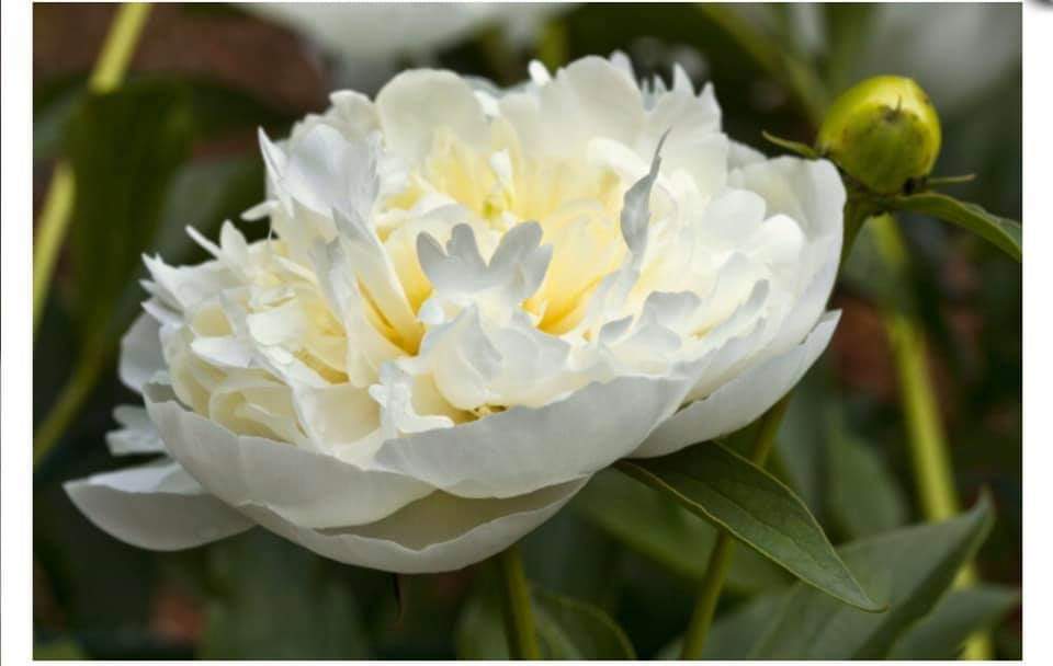 [Image: FB-IMG-1587552869291.jpg]