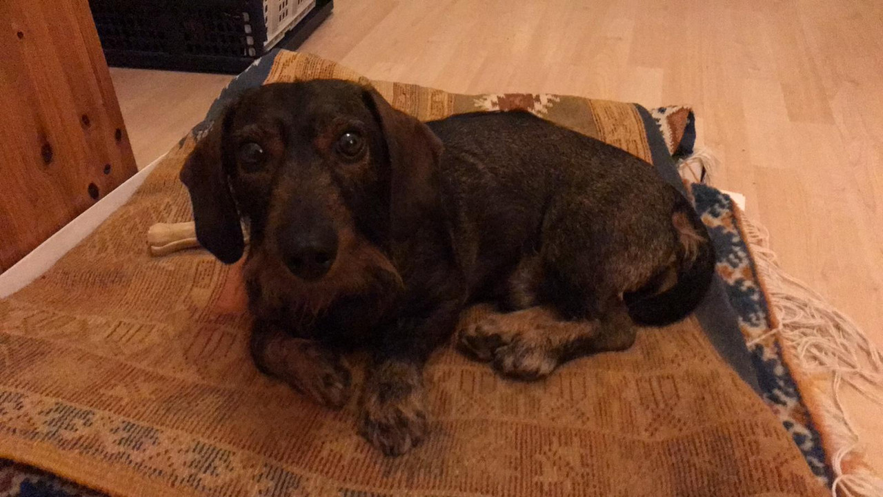 [Image: IMG-20240225-WA0014.jpg]