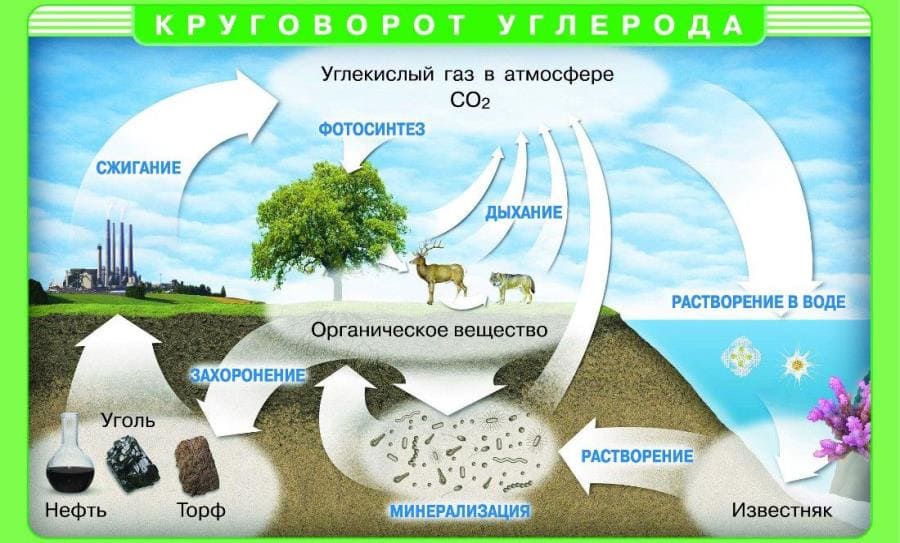 Углерод: невероятные аллотропы, история открытия и прорывные применения Углерод: невероятные аллотропы, история открытия и прорывные применения