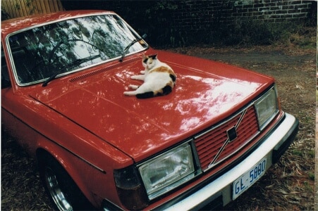 Volvo-&-Kat_resized