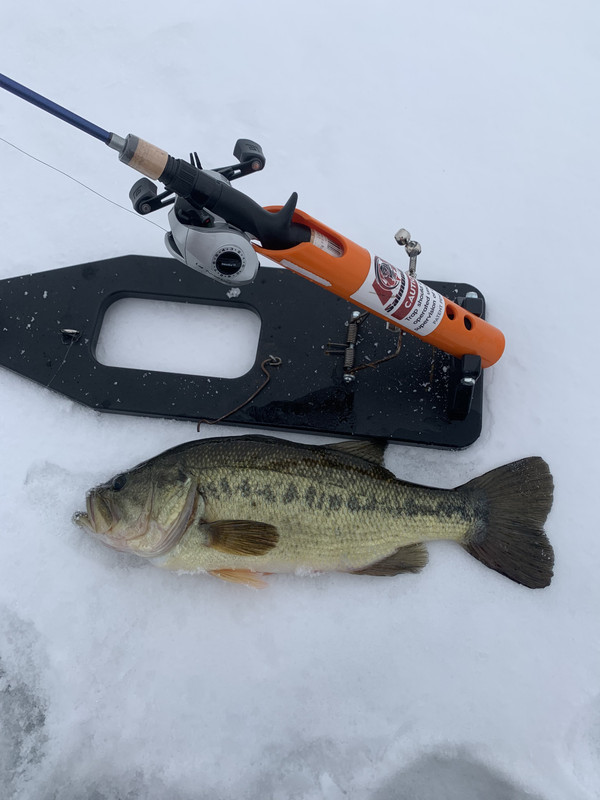 642E2E8A-90D9-4CC5-B412-08CA4FD70926