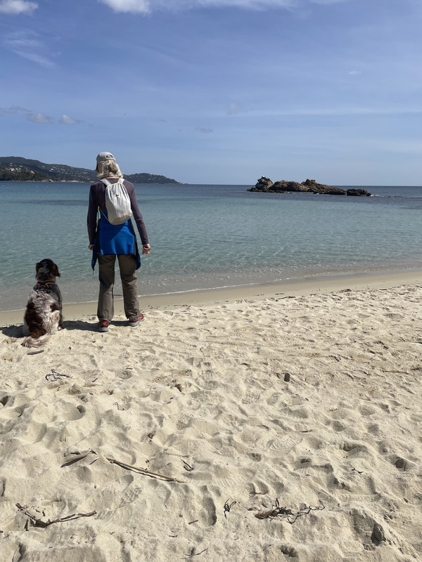 2D844EB0-E7A8-4474-9A40-CBC0B978F290