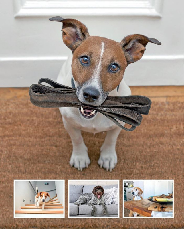 QuattroZampe Lug 2022 (6)