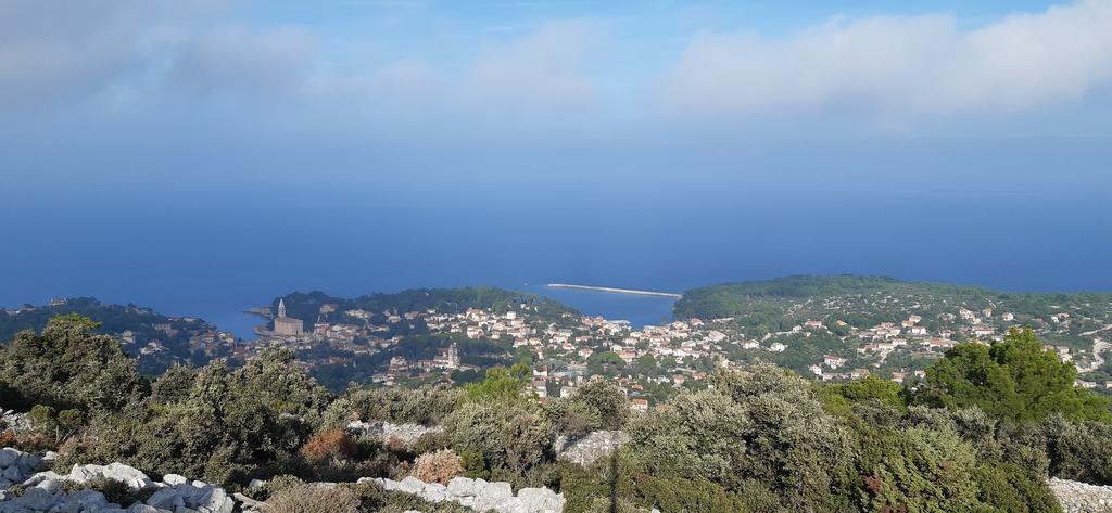 20191023_142609-1 (9)