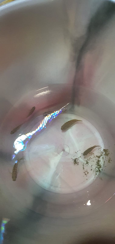 3443A7ED-49E4-4154-A04B-20744FD9BB34