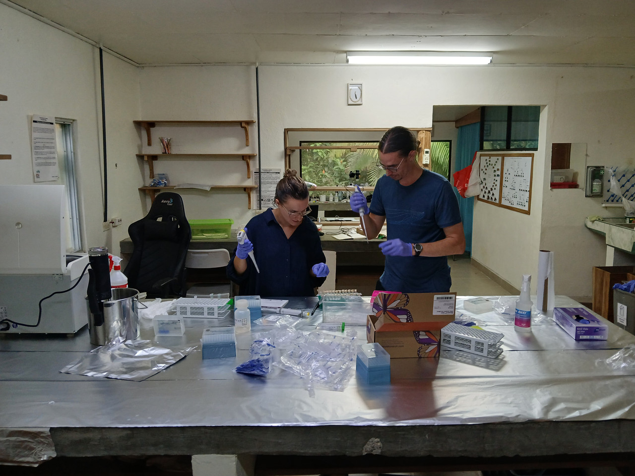 Fieldwork photo 3