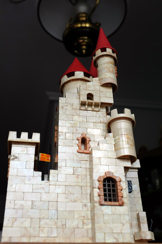 DSCF8165
