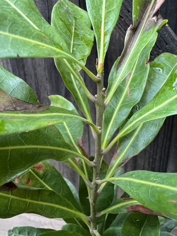 8ACB2AD8-8DD4-4332-B603-25D3C627836E