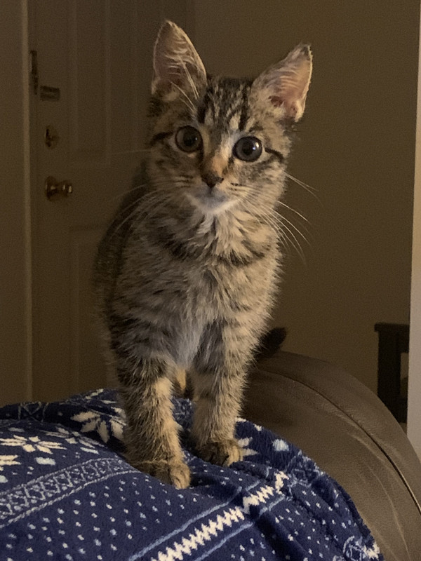 99E0711B-2650-42DB-A016-3AD8A02D4381