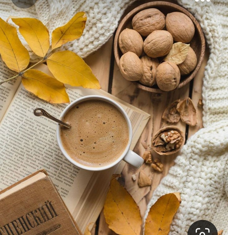 Screenshot_20230923_172959_Pinterest